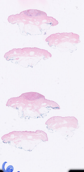 Figure 2. Sample image 2