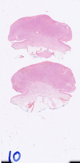 Figure 3. Sample image 3