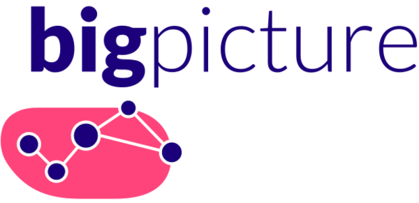 Bigpicture logo