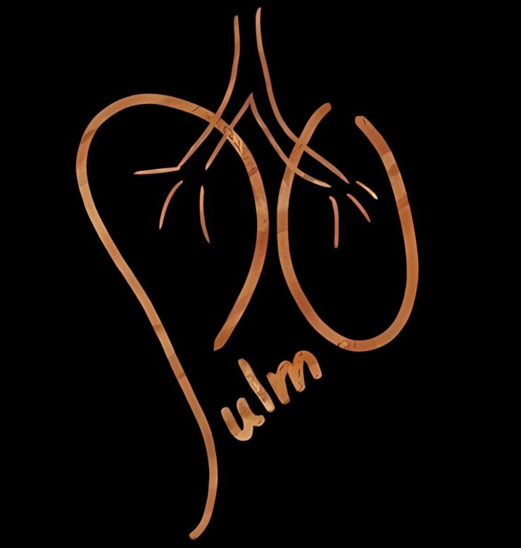 PULMO logo